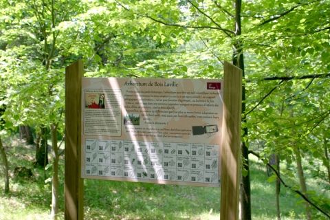 Arboretum de Bois Laville