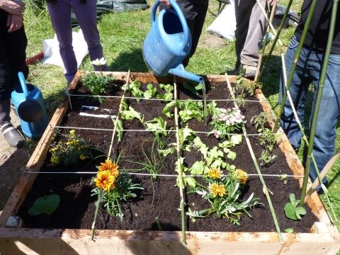 Association Le Mat du Vieil Audon