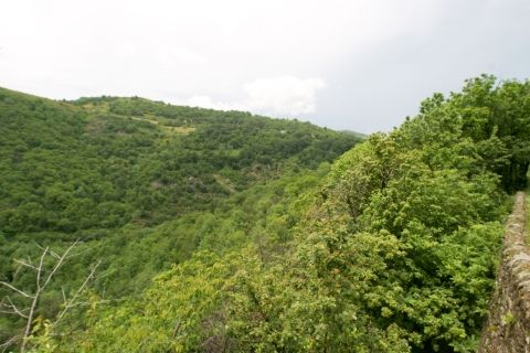 La châtaigneraie ardéchoise