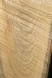 Bilan chataigneraie ardechoise