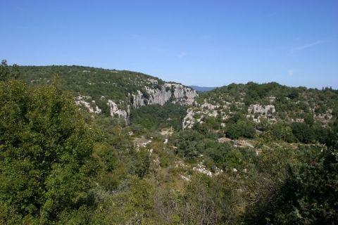 Le bois de Païolive