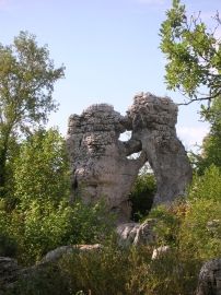 Bois de Païolive - L'ours et le lion