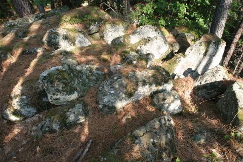 La forêt de Bois-Laville