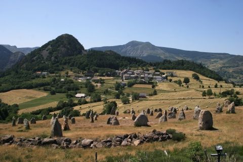 La hêtraie de Borée