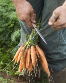 Agri Bio Ardèche