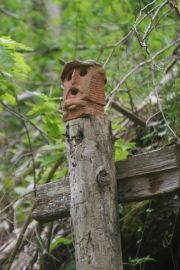 chemin des cinq sens 004