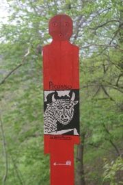 chemin des cinq sens 009