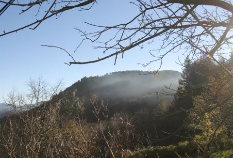 Aizac
