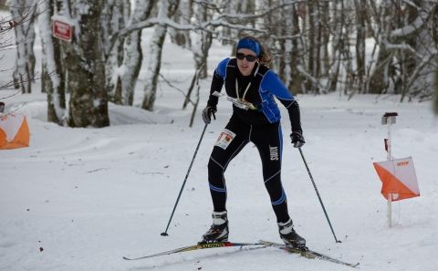 Comité départemental de course d'orientation