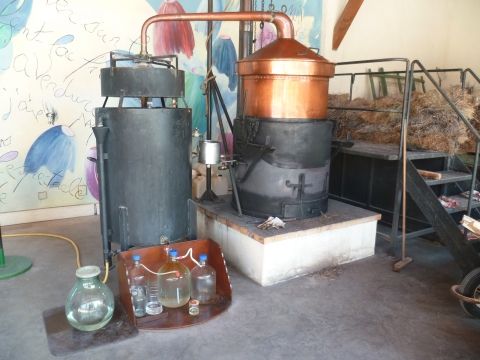 distillation - Le Musée de la Lavande