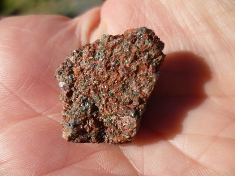 Echantillon de Péridotite