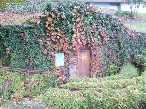 Entrée de la mofette.JPG