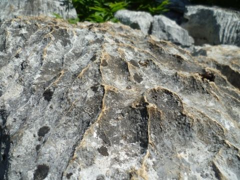 érosion du calcaire.JPG