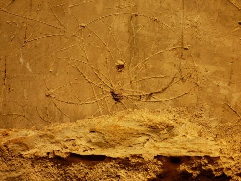 Les châteaux d’Aubenas - 2ème partie