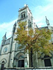 Histoire de la basilique Notre Dame de Bon Secours