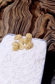 Farine de châtaignes