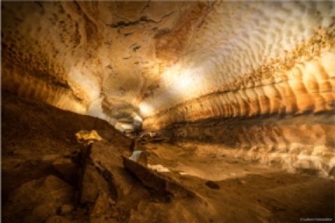 Galerie des Peintres_L.Frémondière