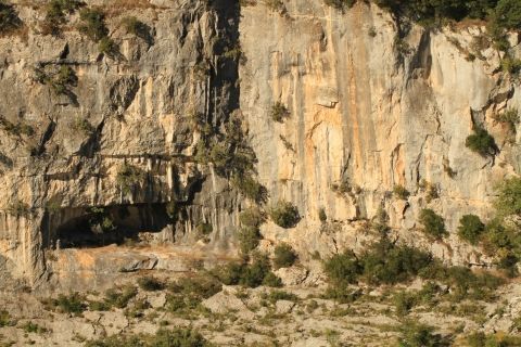 Les arbres remarquables
