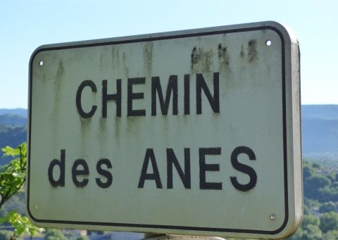 indication du chemin des anes