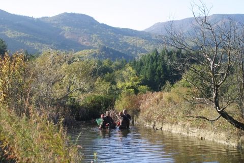 Invasions aquatiques