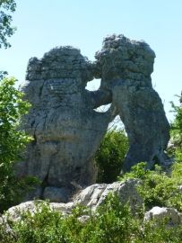 L'ours et le lion.JPG