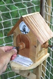 Le bois des musiciens