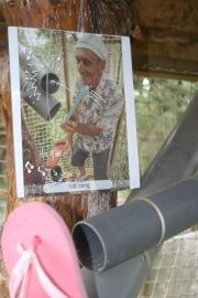 Le bois des musiciens