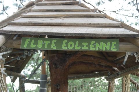 Le bois des musiciens