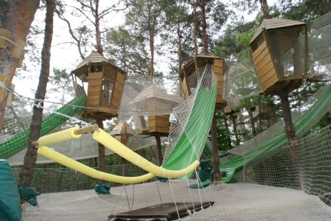 Le bois des musiciens