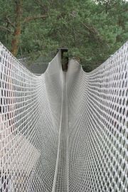 Le bois des musiciens