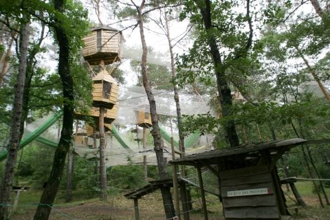 Le bois des musiciens