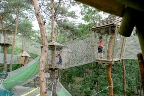 Le bois des musiciens