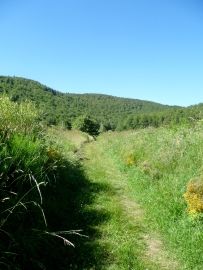 Le GR 4 traversant le volcan
