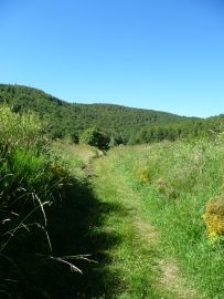 La Vestide du Pal