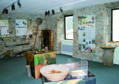 Maison du châtaignier