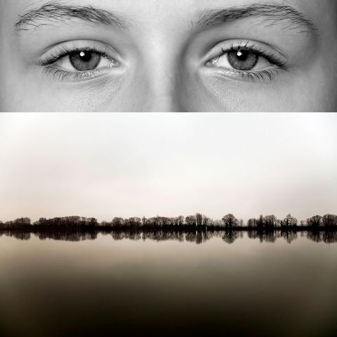 oeil de terres expo 002