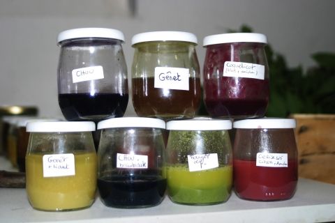 La peinture végétale avec Simple et Sauvage