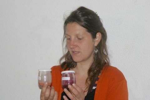 Peinture végétale