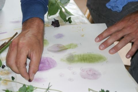 Peinture végétale