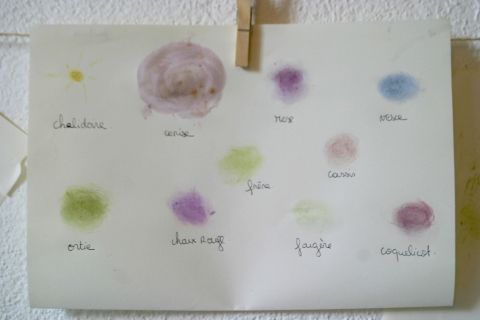 Peinture végétale