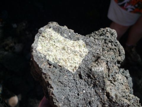 Péridotite dans sa gangue