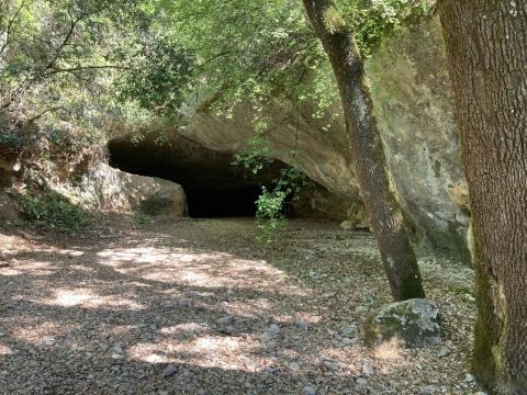 Porche Entree naturelle_D.Dupuy