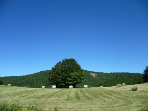Prairies au coeur du volcan