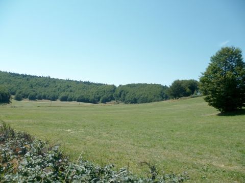 Prairies au fond du volcan