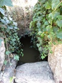 rando balade sous les pins st julien du serre 005