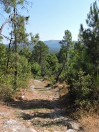 rando balade sous les pins st julien du serre 012
