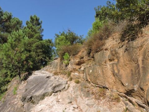 rando balade sous les pins st julien du serre 013