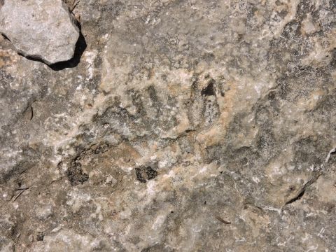 rando labeaume ranc de figère 007