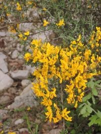 rando lanas les gras 006