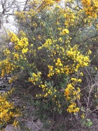 rando lanas les gras 007